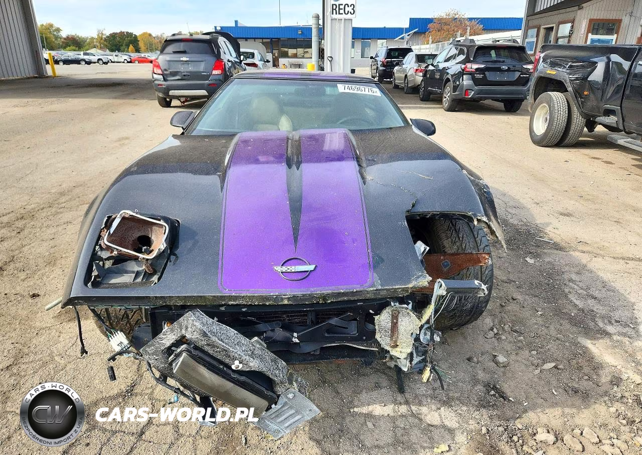 1995 Chevrolet Corvette VIN:1G1YY22P0S5111244 - 5