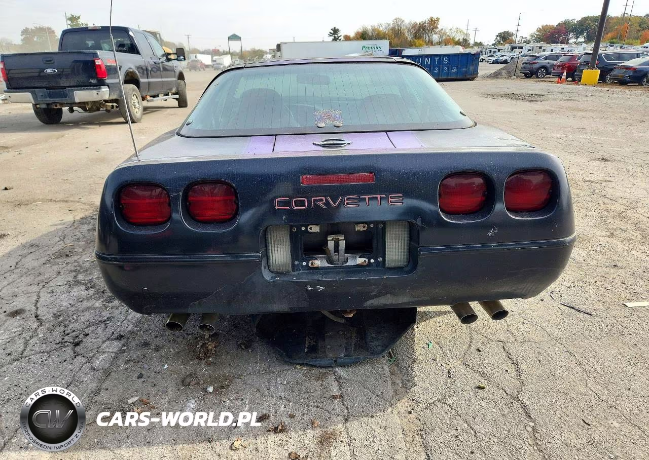 1995 Chevrolet Corvette VIN:1G1YY22P0S5111244 - 6