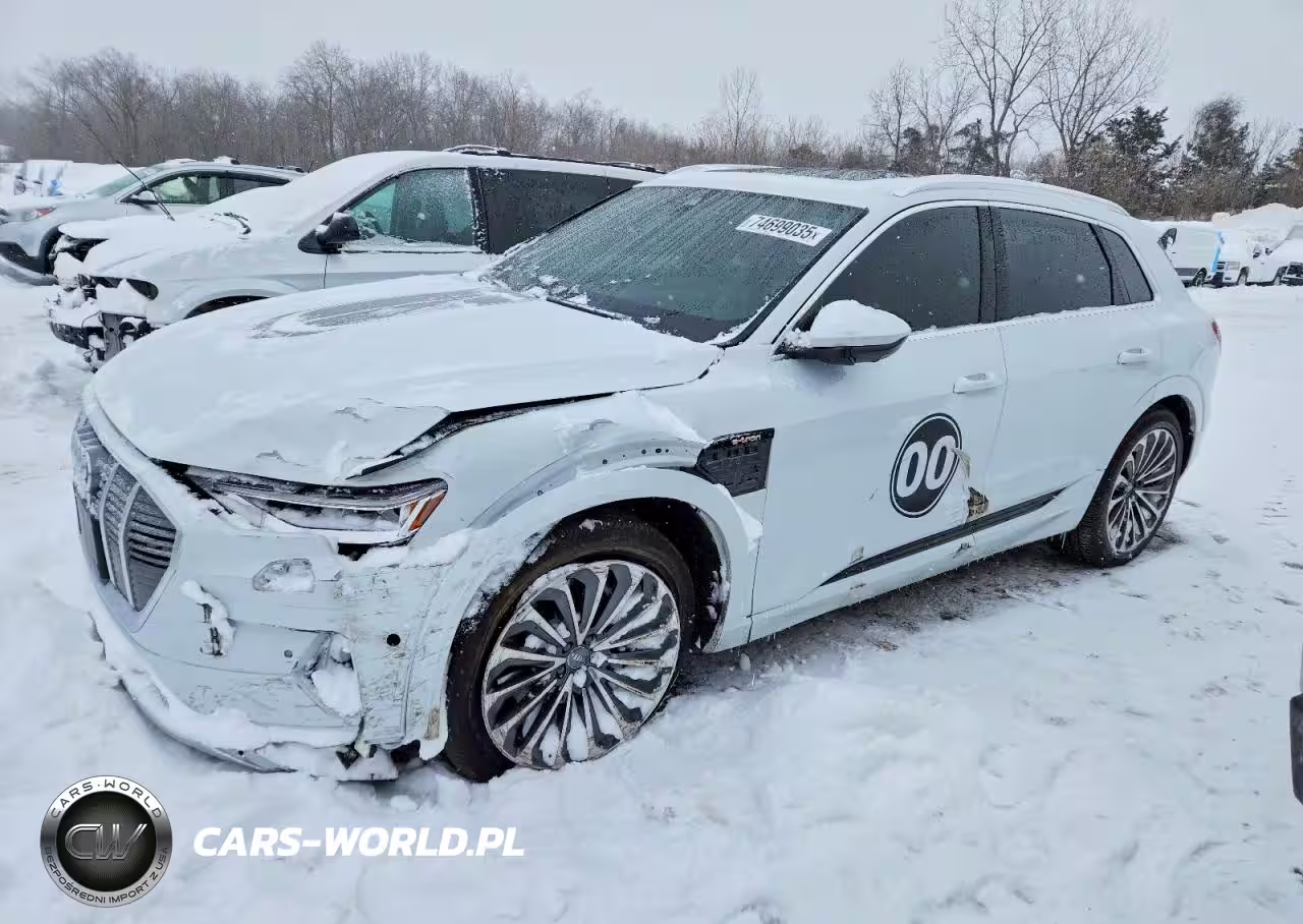 2019 Audi E-Tron Prestige