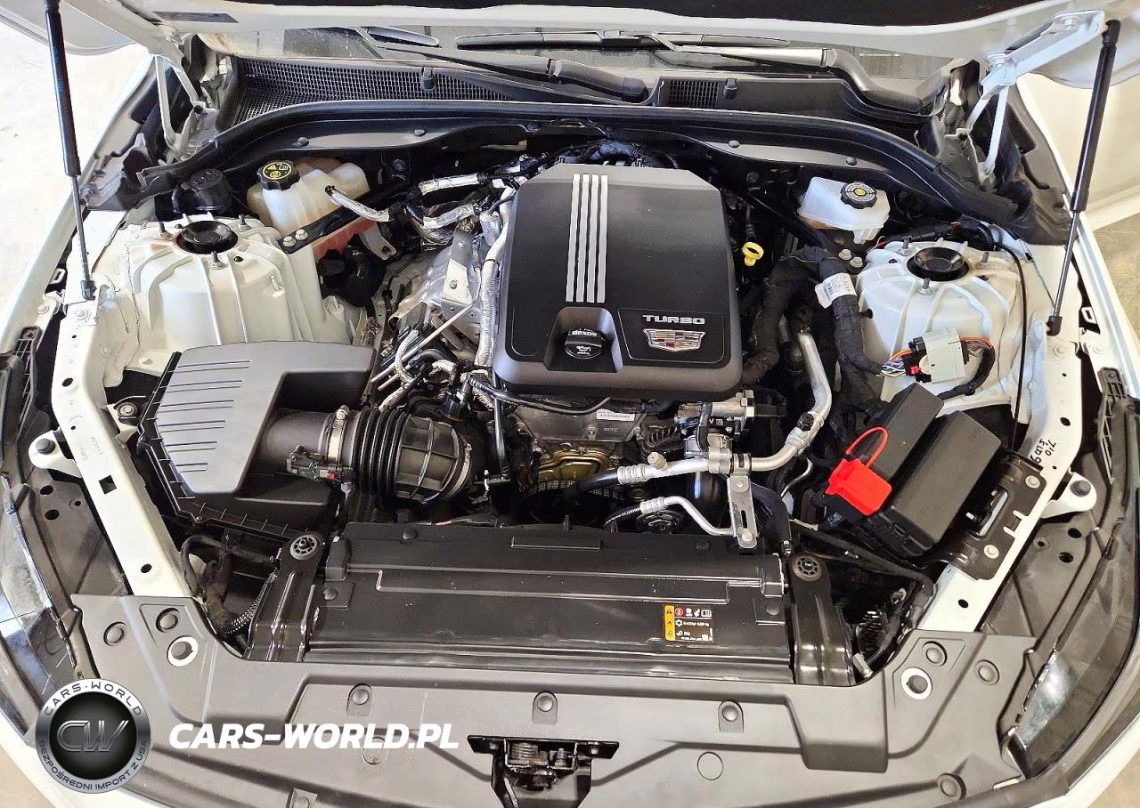 2023 Cadillac Ct5 Luxury VIN:1G6DX5RK8P0158193 - 11