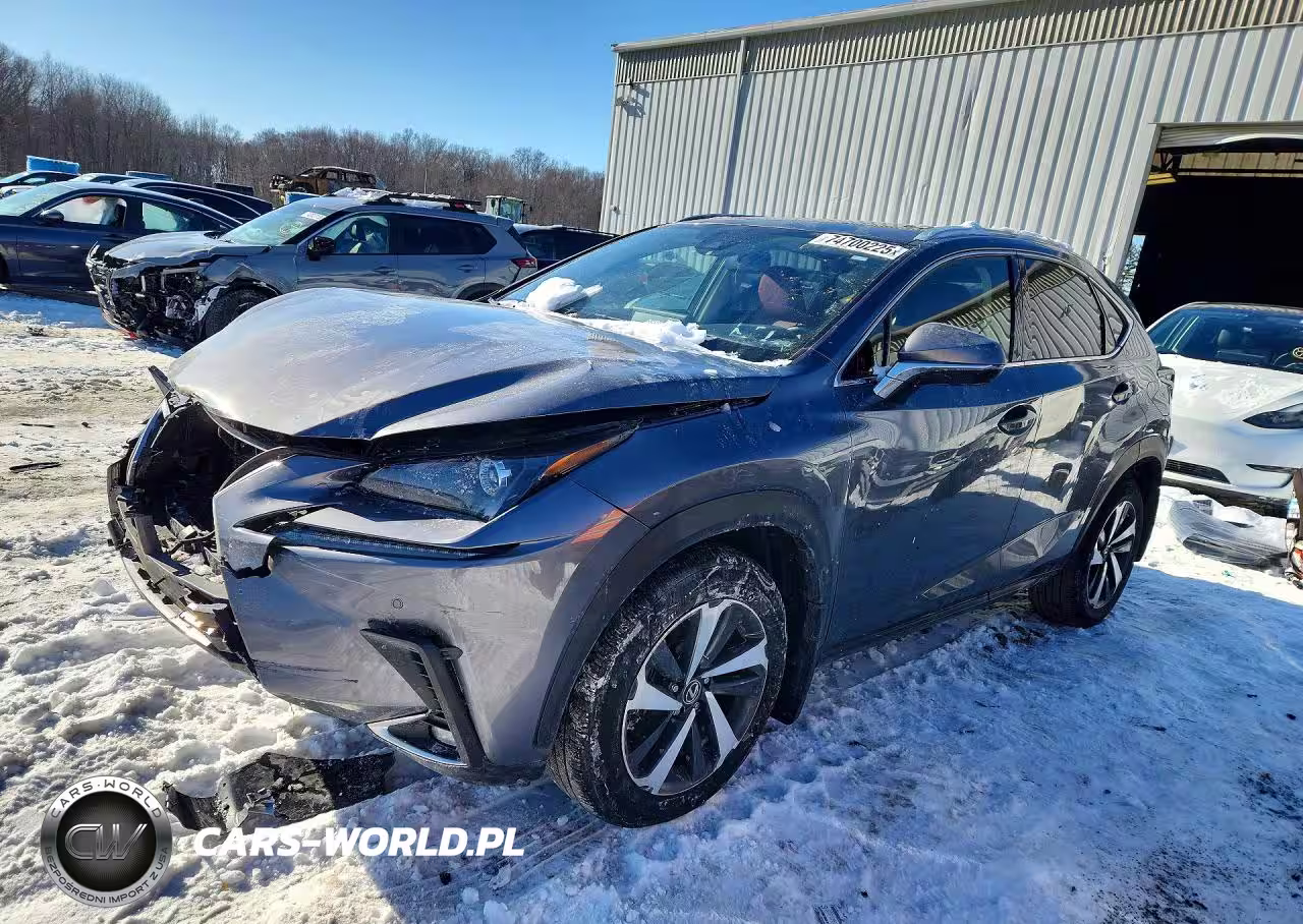 2020 Lexus Nx 300