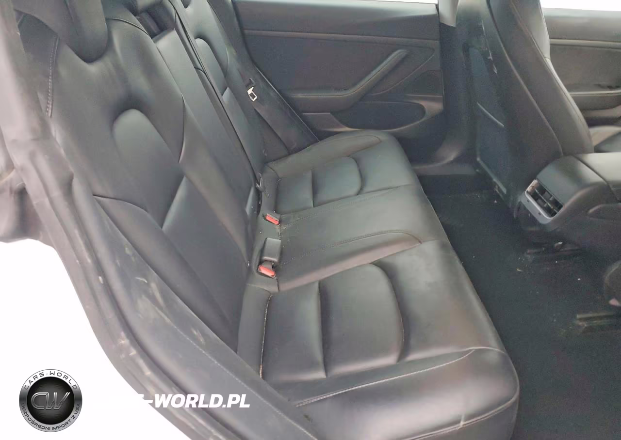 2020 Tesla Model 3 VIN:5YJ3E1EAXLF613058 - 10