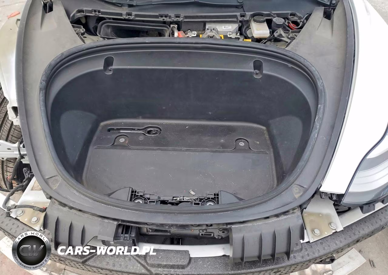 2020 Tesla Model 3 VIN:5YJ3E1EAXLF613058 - 11