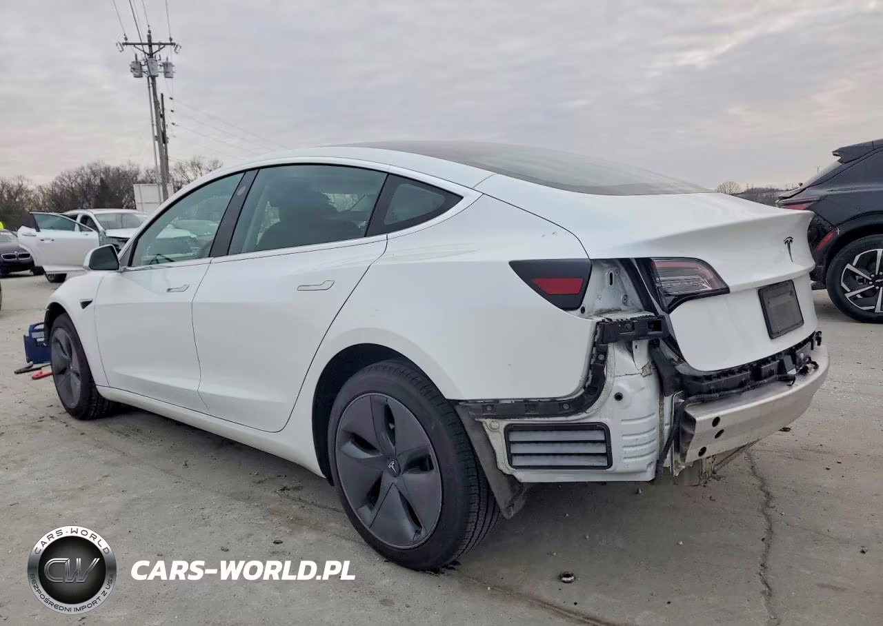 2020 Tesla Model 3 VIN:5YJ3E1EAXLF613058 - 2