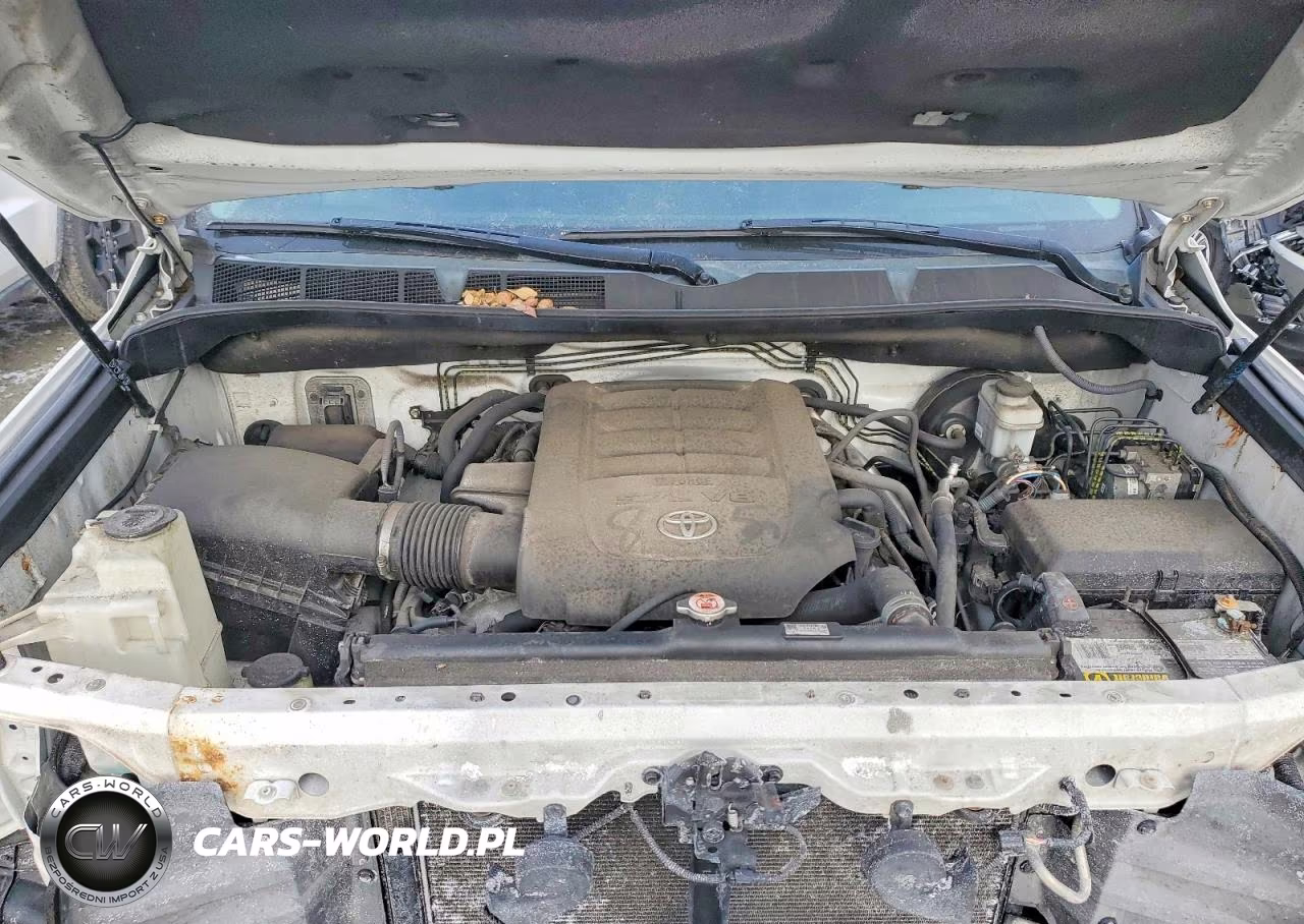 2019 Toyota Tundra 1794 Edition VIN:5TFAY5F10KX786290 - 11