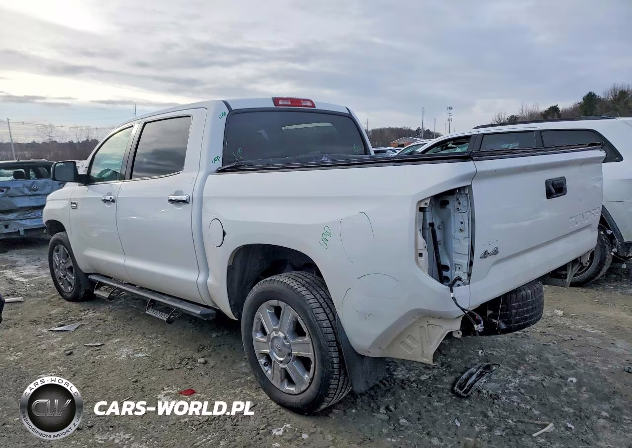 2019 Toyota Tundra 1794 Edition VIN:5TFAY5F10KX786290 - 2