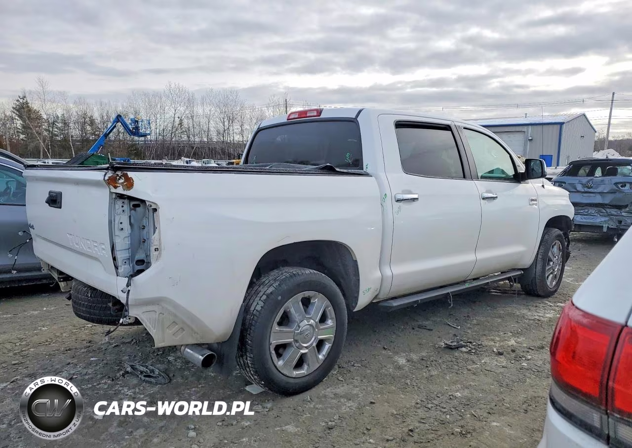 2019 Toyota Tundra 1794 Edition VIN:5TFAY5F10KX786290 - 3