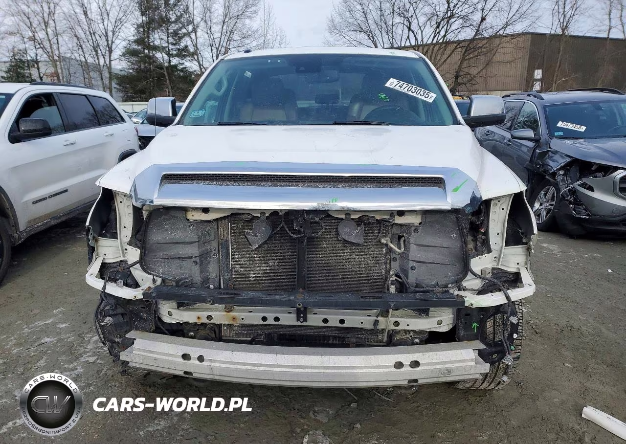 2019 Toyota Tundra 1794 Edition VIN:5TFAY5F10KX786290 - 5