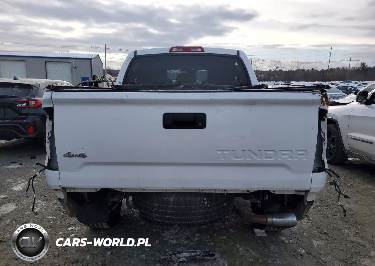 2019 Toyota Tundra 1794 Edition VIN:5TFAY5F10KX786290 - 6