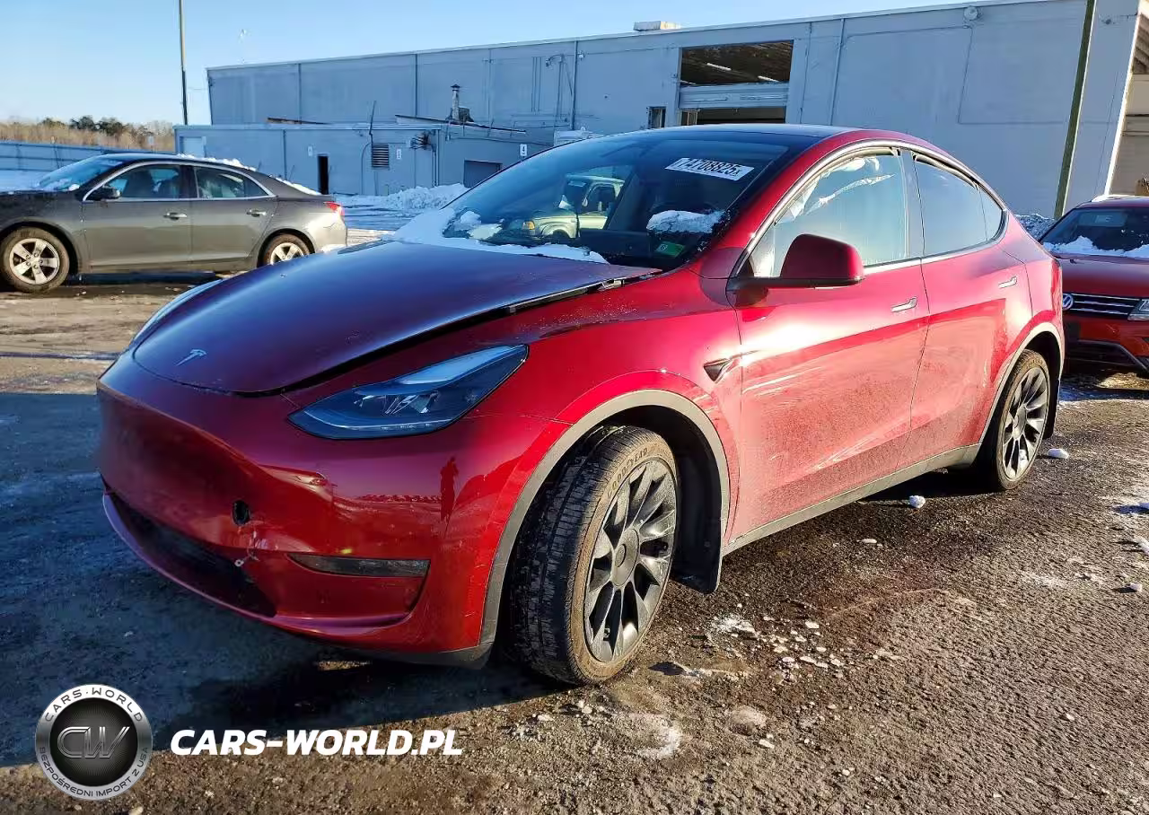 2024 Tesla Model Y