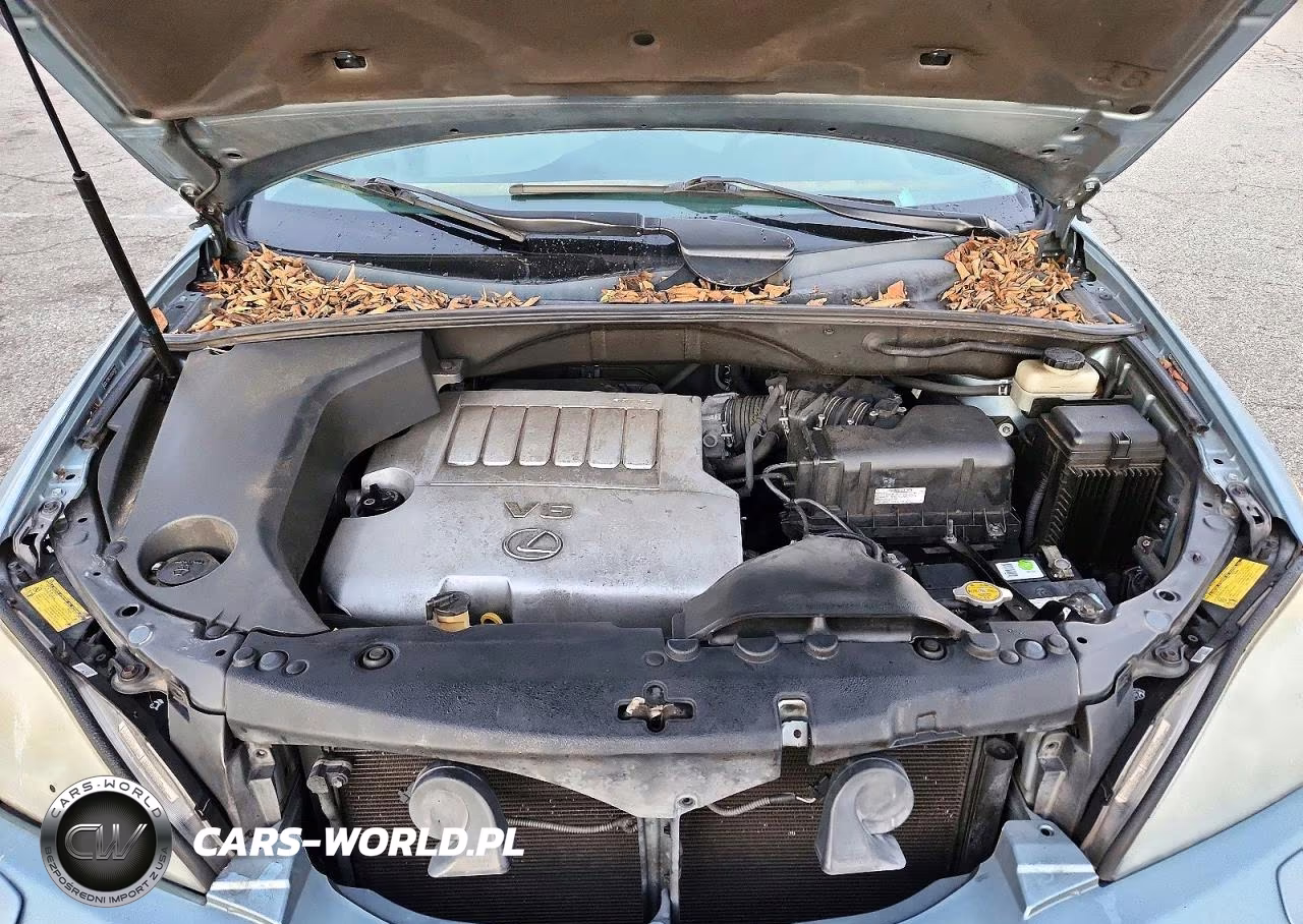 2008 Lexus Rx 350 VIN:2T2GK31U58C040924 - 12