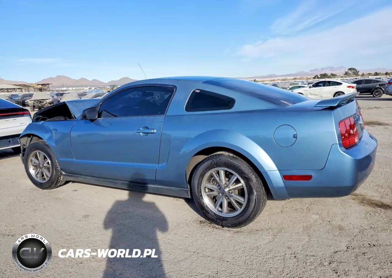 2005 Ford Mustang VIN:1ZVFT80N555105006 - 2