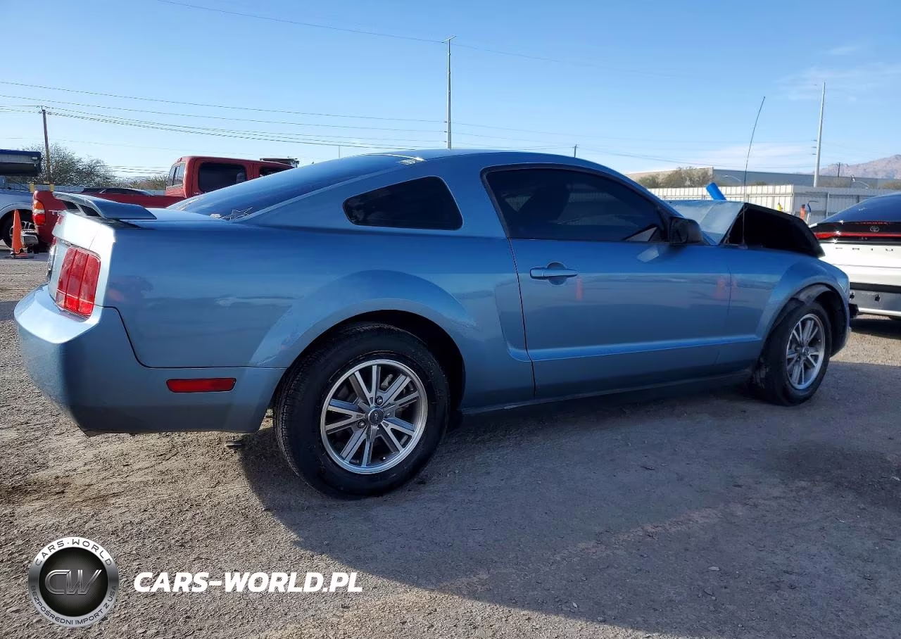 2005 Ford Mustang VIN:1ZVFT80N555105006 - 3