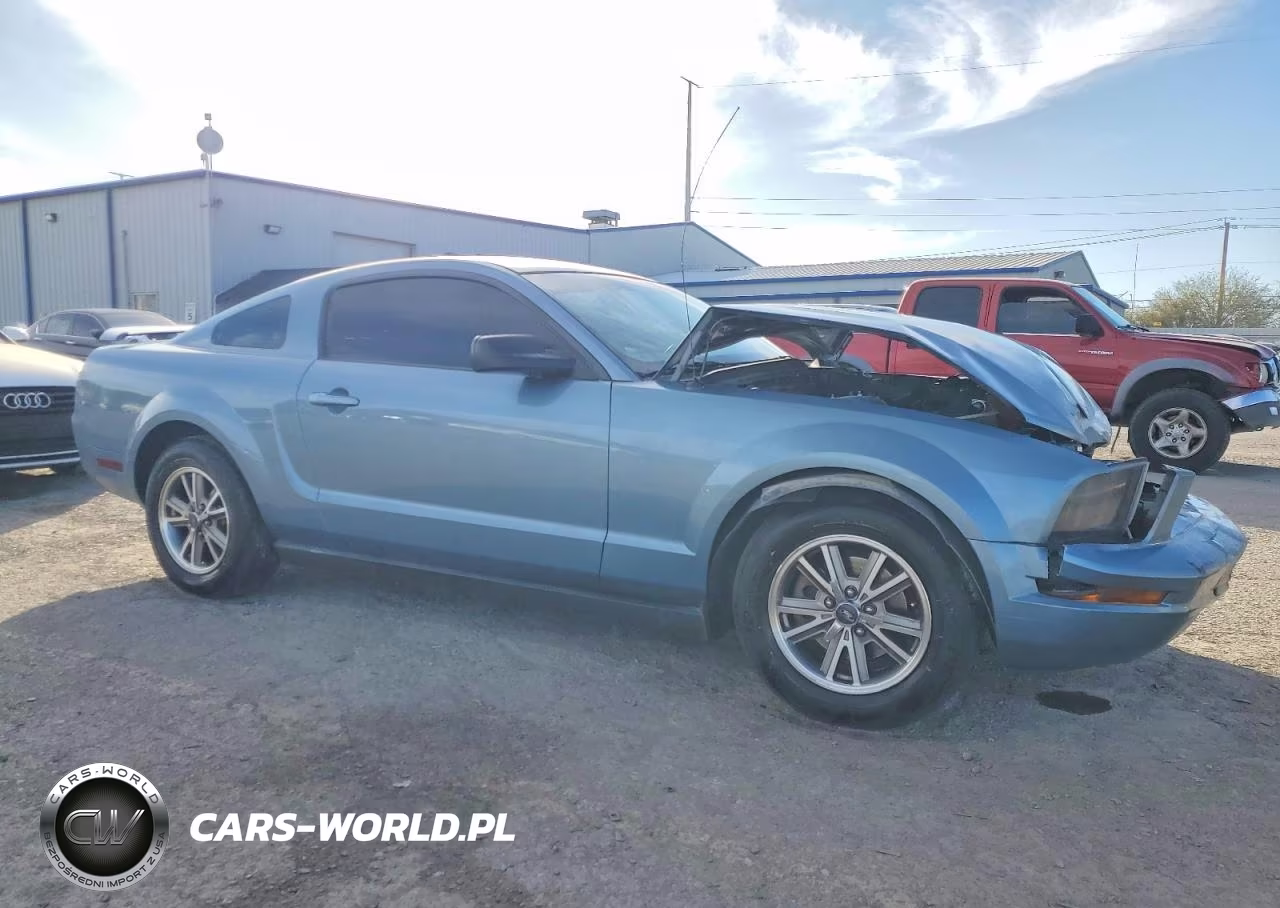 2005 Ford Mustang VIN:1ZVFT80N555105006 - 4