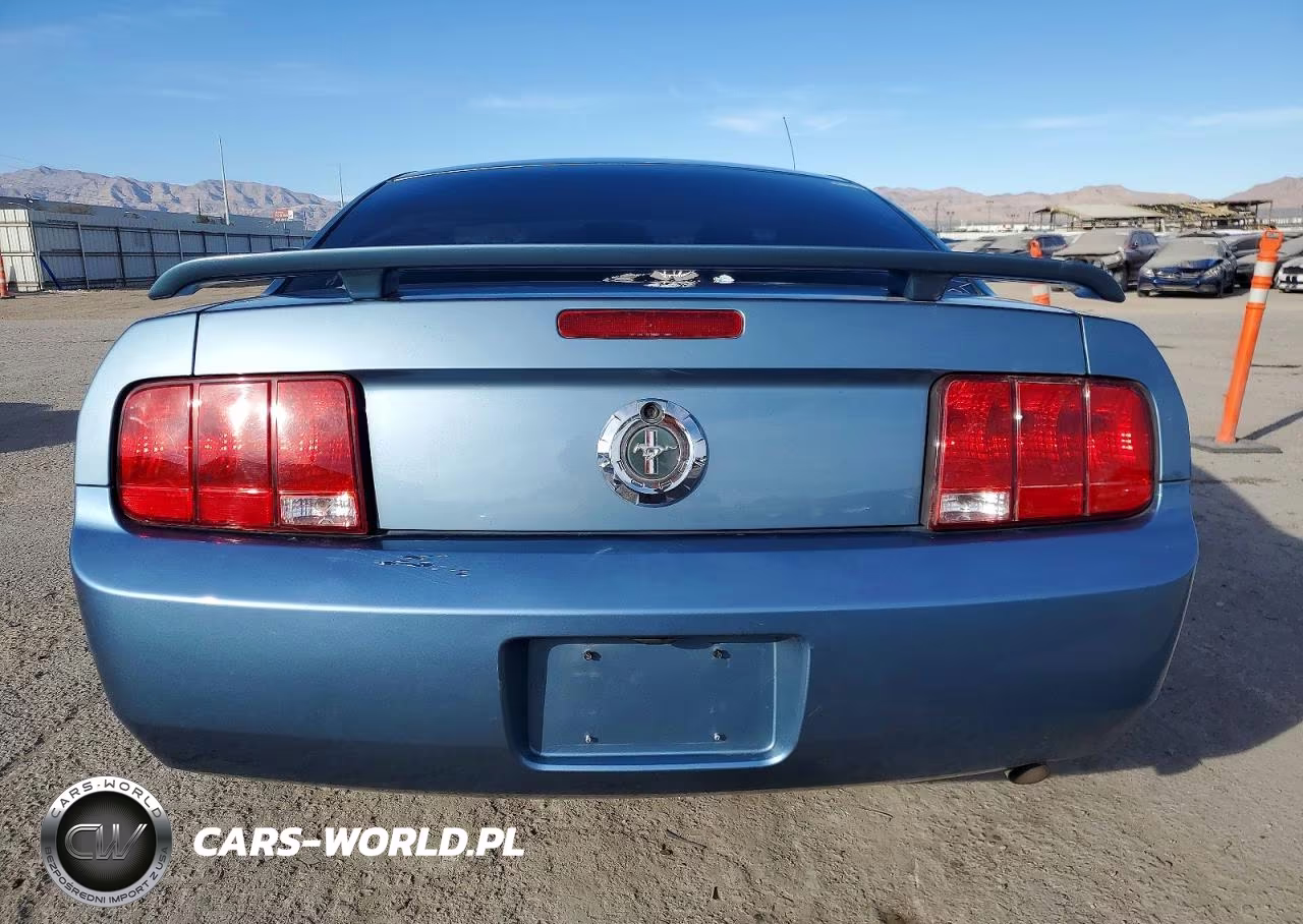 2005 Ford Mustang VIN:1ZVFT80N555105006 - 6