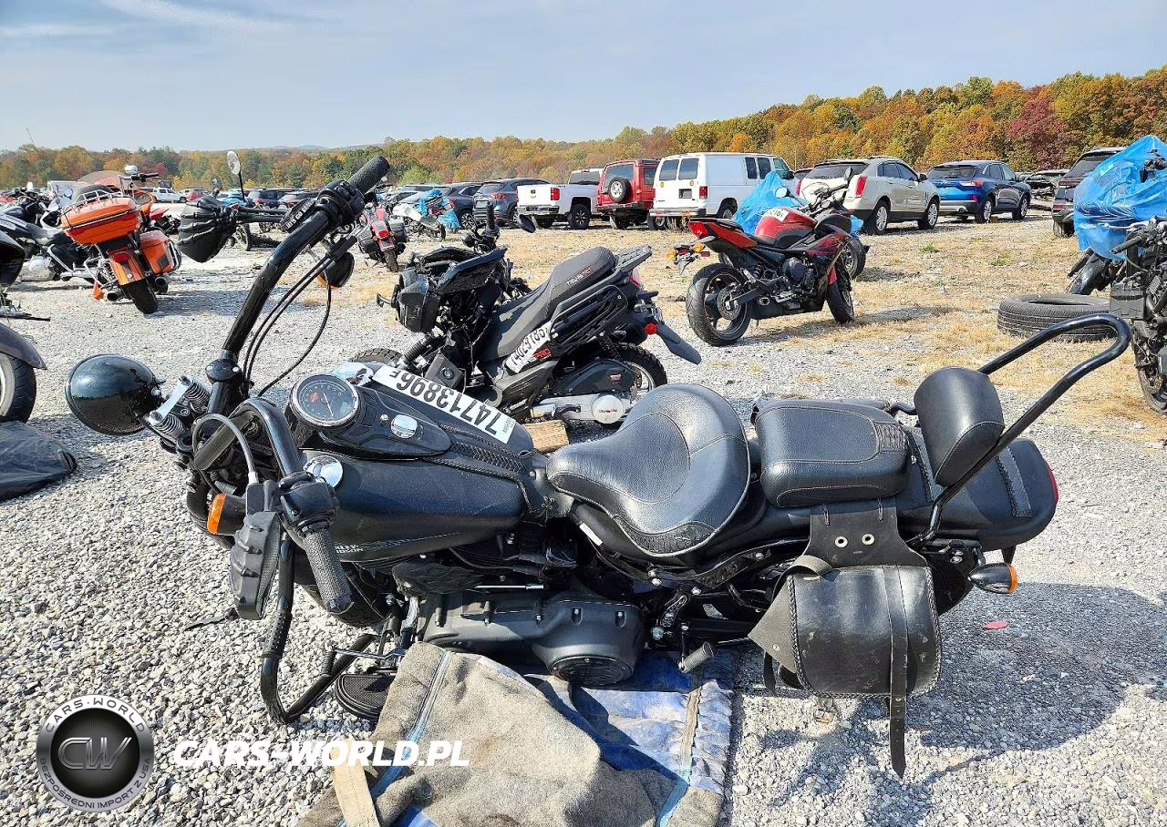 2011 Harley-Davidson Flstsb VIN:1HD1JM51XBB034477 - 3