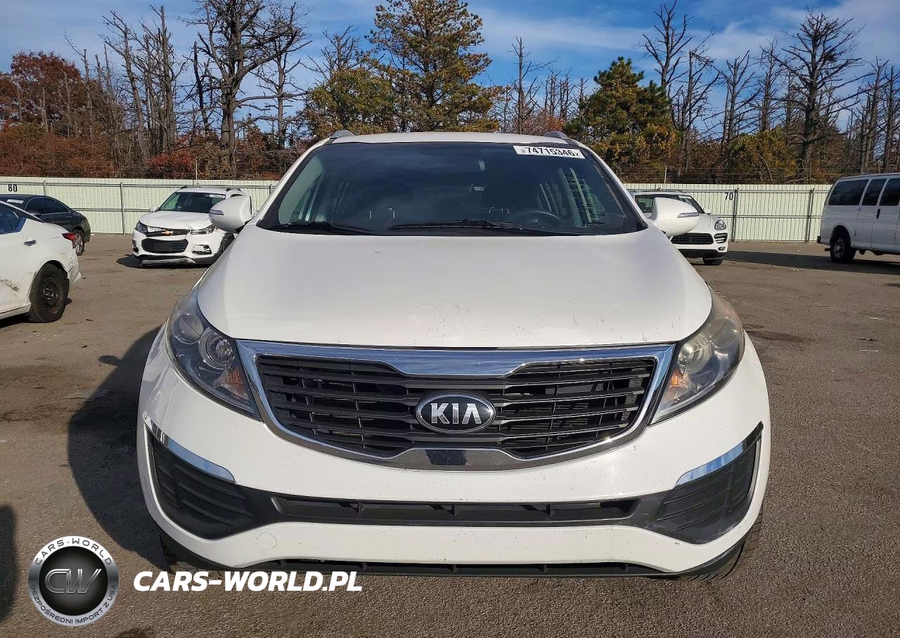 2013 Kia Sportage Lx VIN:KNDPB3A27D7397147 - 5