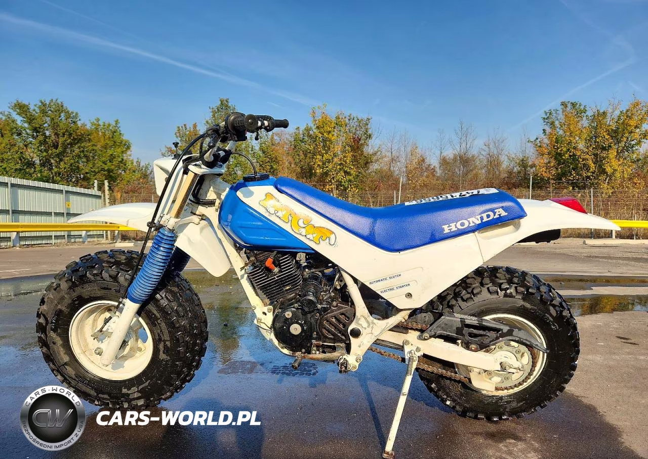 1986 Honda Tr200 VIN:JH2TE1108GK504806 - 3