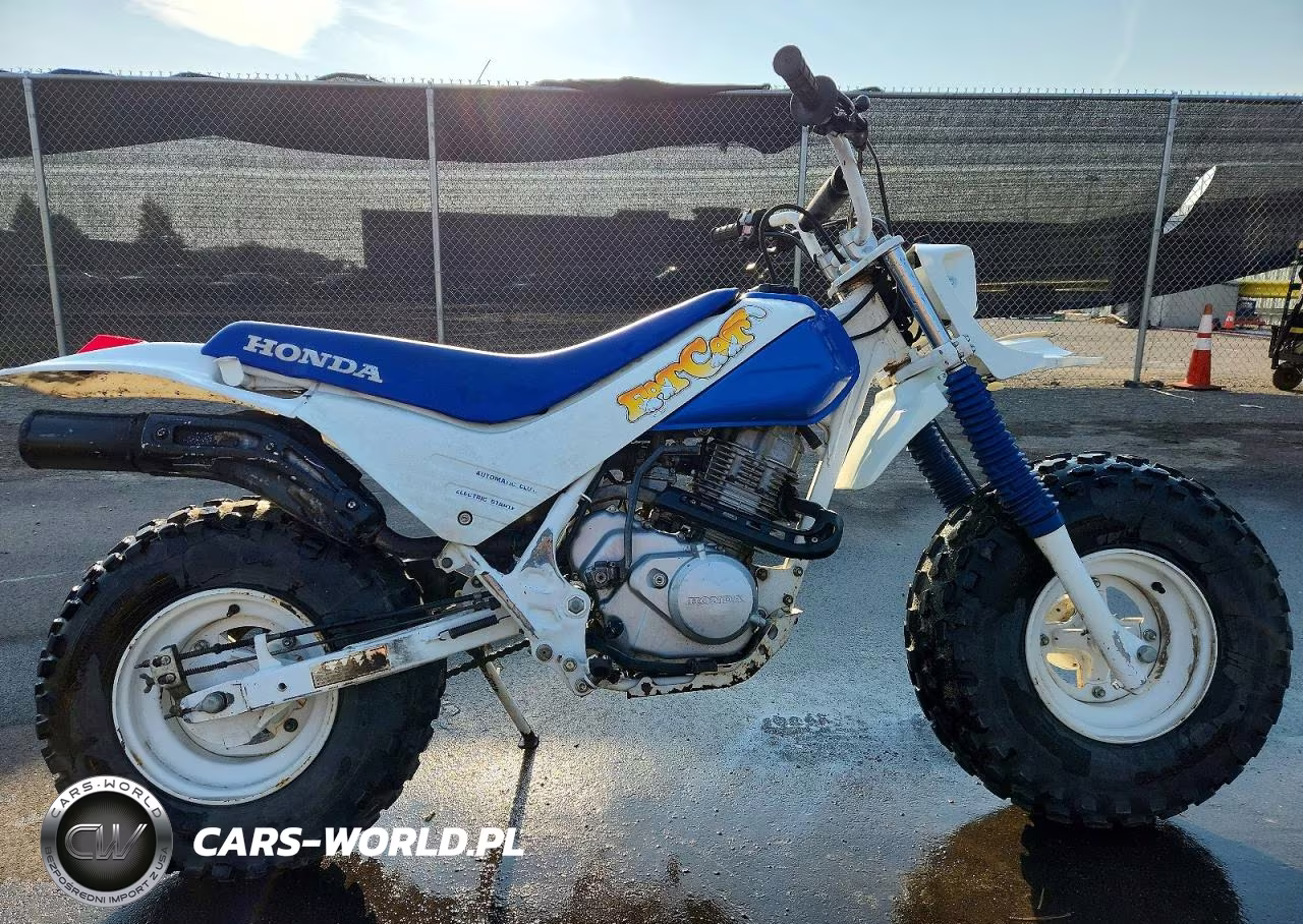 1987 Honda Tr200 – zdjęcie 1 z 9