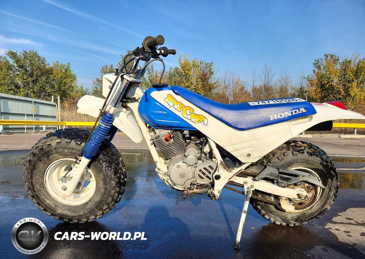 1987 Honda Tr200 VIN:JH2TE1109HK803376 - 3