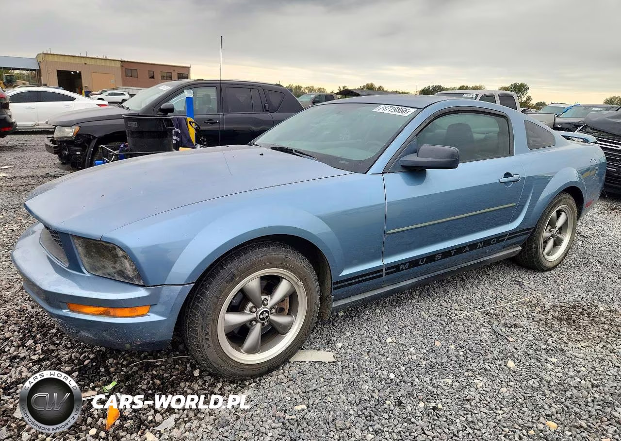 2005 Ford Mustang VIN:1ZVFT80N655155168 - 1