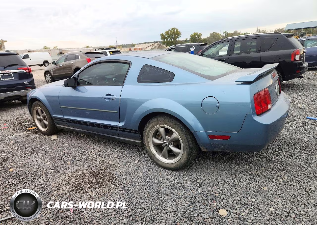 2005 Ford Mustang VIN:1ZVFT80N655155168 - 2