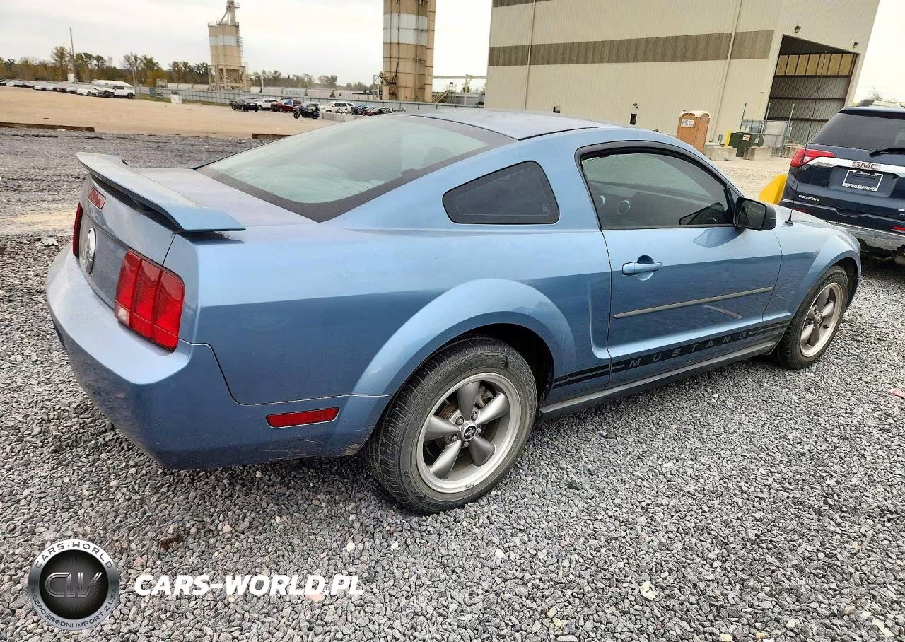 2005 Ford Mustang VIN:1ZVFT80N655155168 - 3