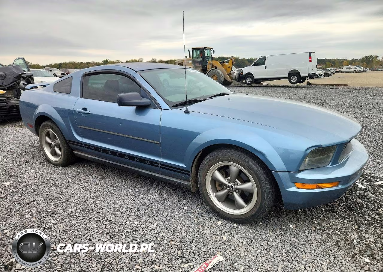 2005 Ford Mustang VIN:1ZVFT80N655155168 - 4
