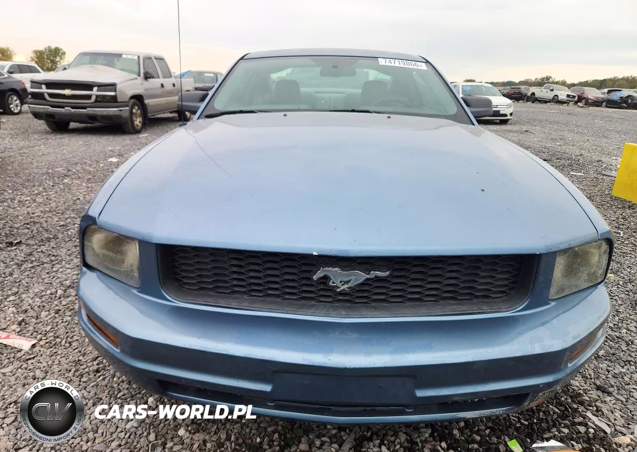 2005 Ford Mustang VIN:1ZVFT80N655155168 - 5