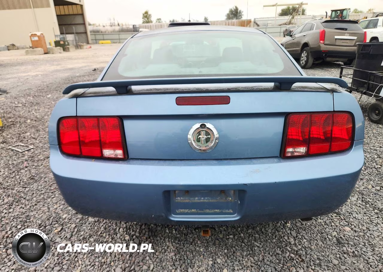 2005 Ford Mustang VIN:1ZVFT80N655155168 - 6