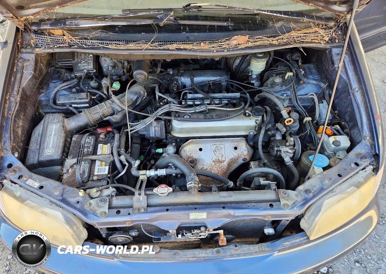 1995 Honda Odyssey Ex VIN:JHMRA1875SC024354 - 12