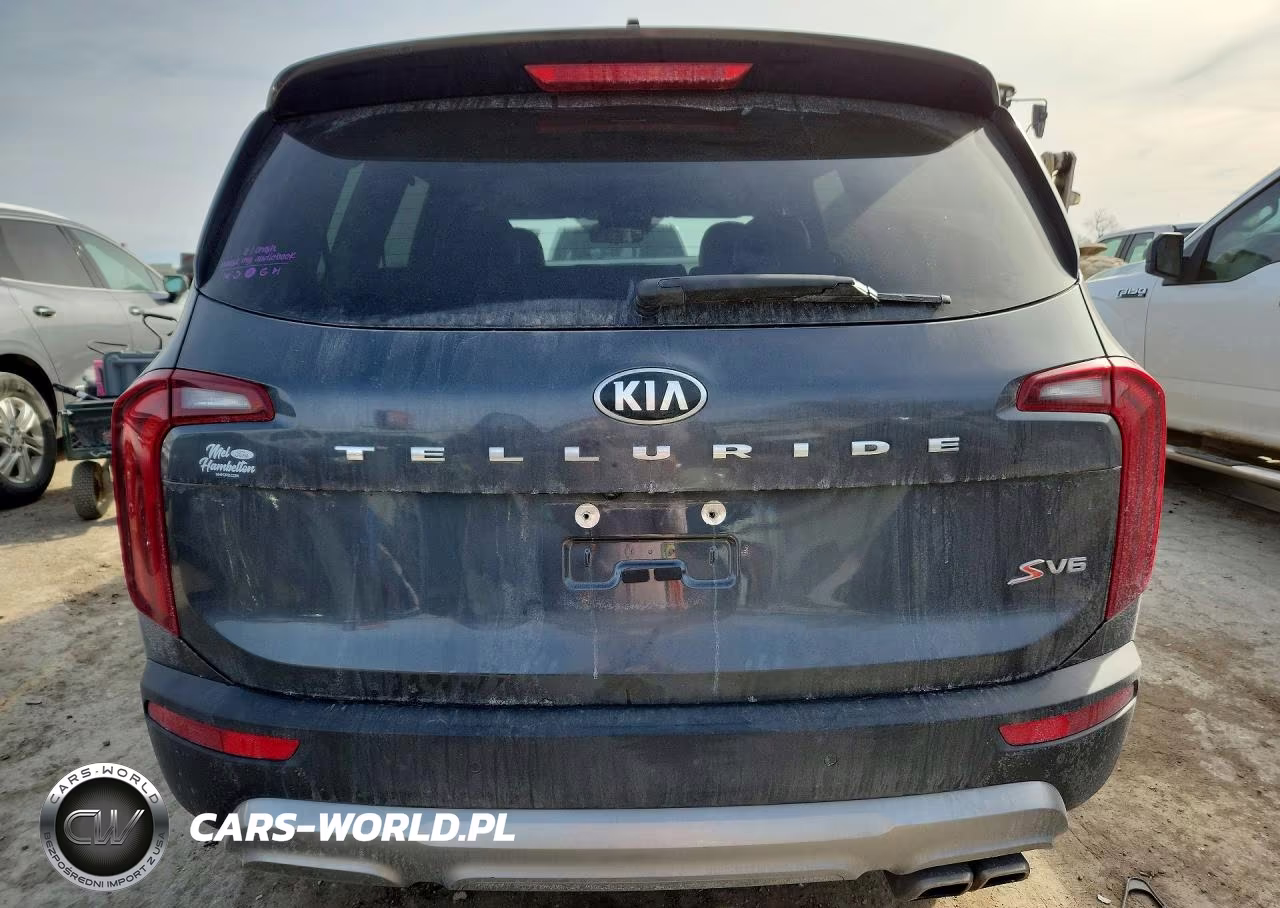 2020 Kia Telluride S VIN:5XYP64HC5LG076699 - 6