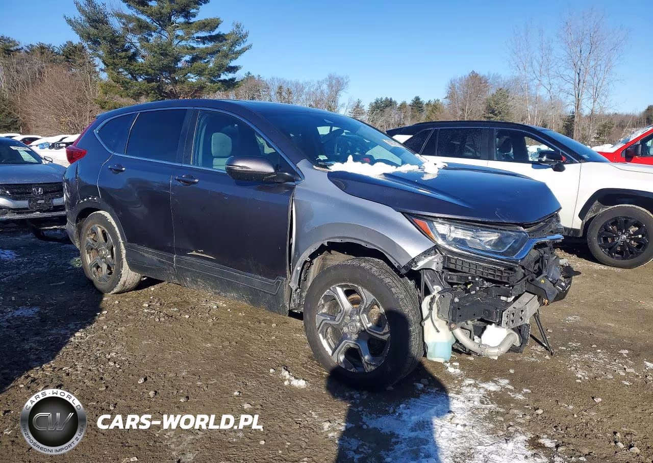 2019 Honda Cr-V Ex VIN:2HKRW2H56KH605986 - 4