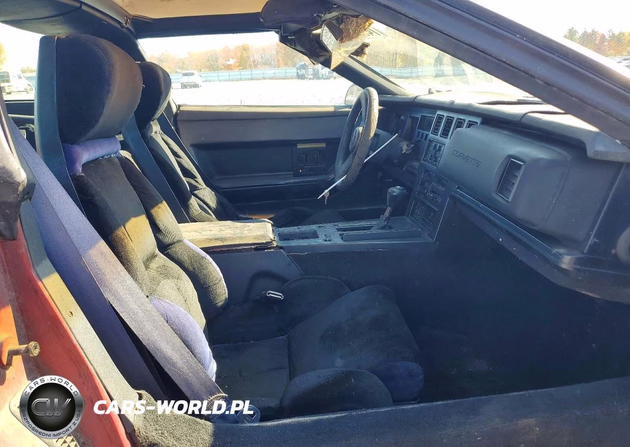 1989 Chevrolet Corvette VIN:1G1YY2181K5124644 - 10
