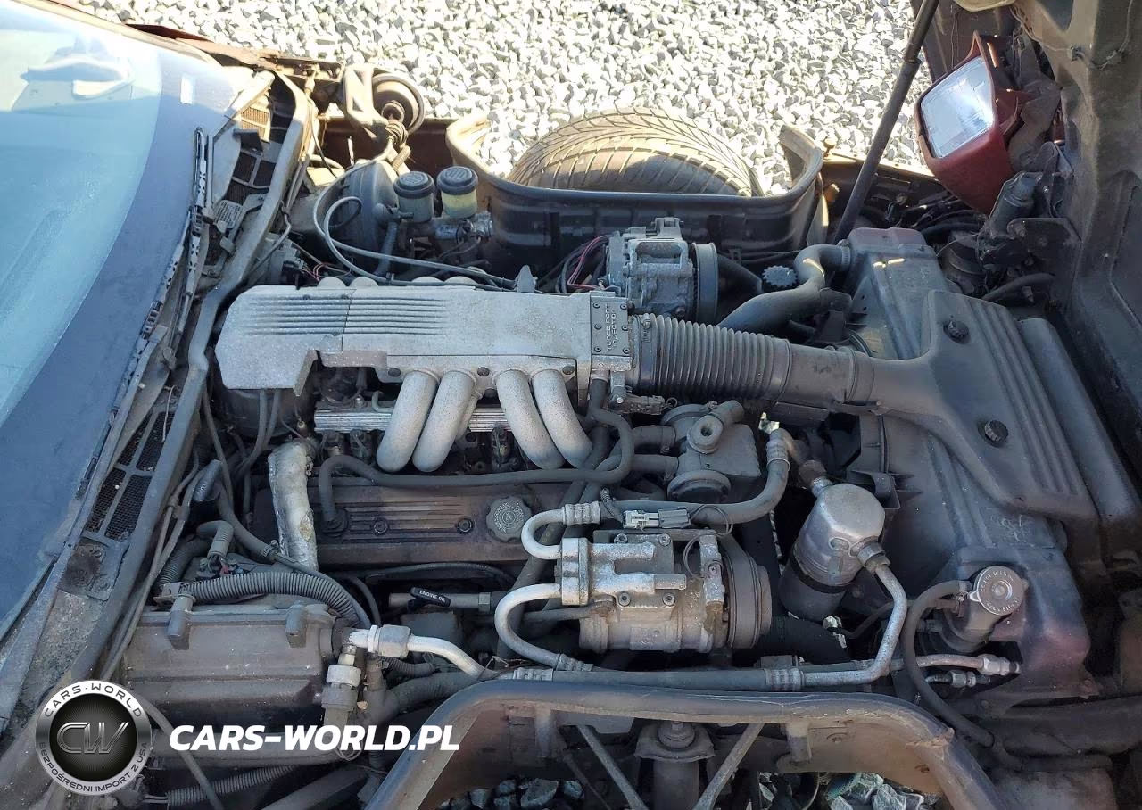 1989 Chevrolet Corvette VIN:1G1YY2181K5124644 - 11