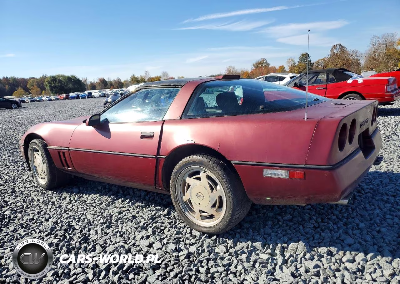 1989 Chevrolet Corvette VIN:1G1YY2181K5124644 - 2