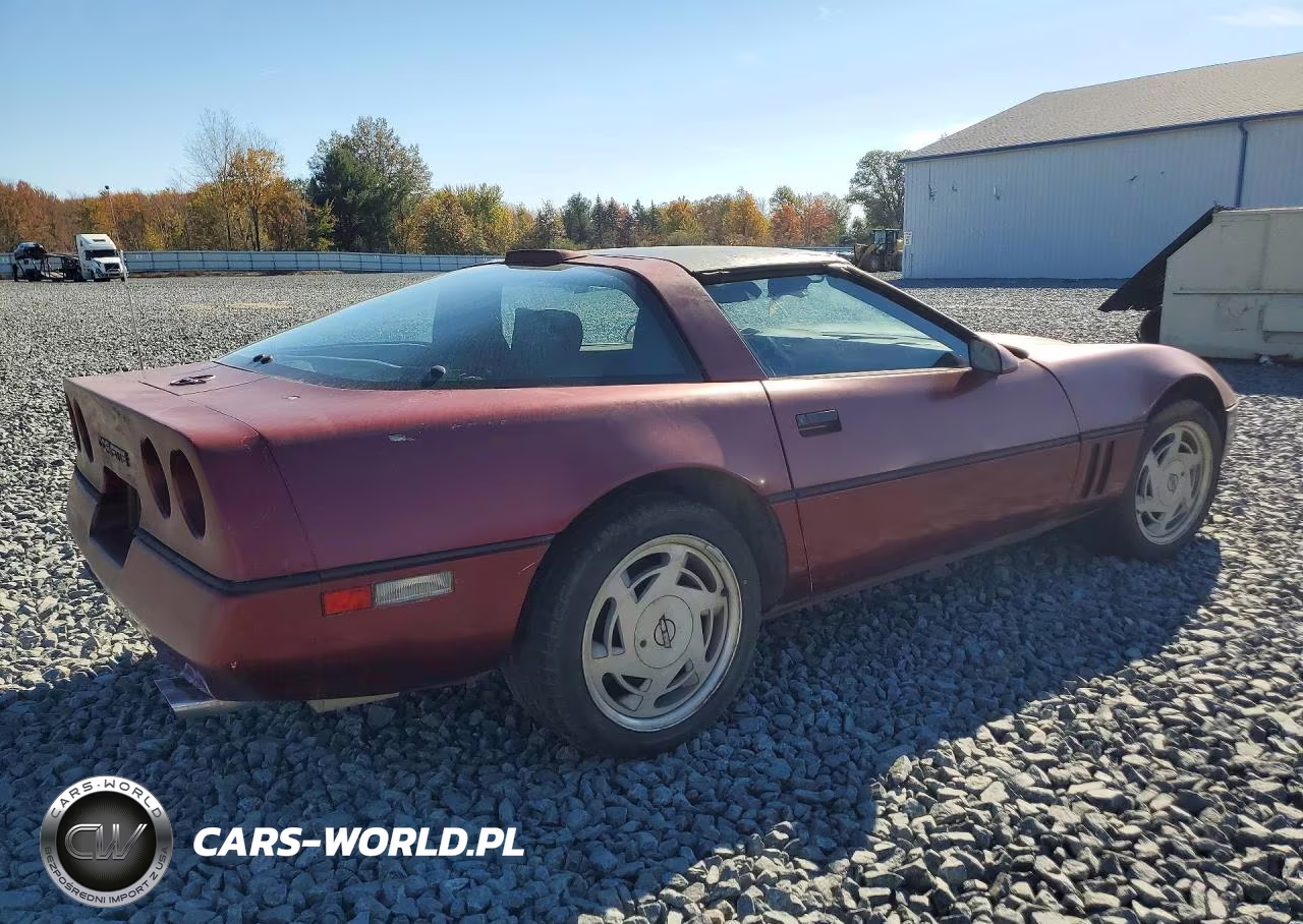1989 Chevrolet Corvette VIN:1G1YY2181K5124644 - 3