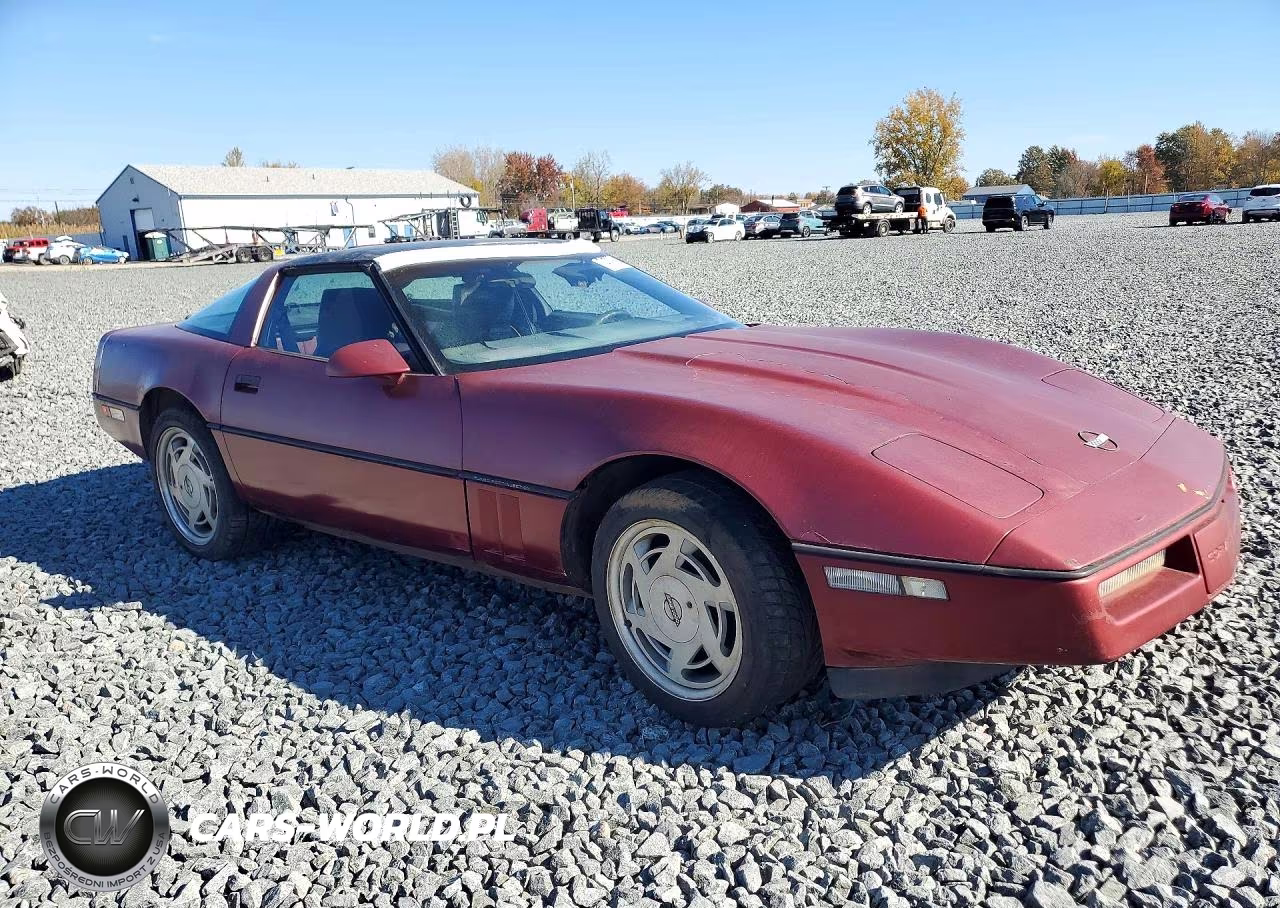 1989 Chevrolet Corvette VIN:1G1YY2181K5124644 - 4