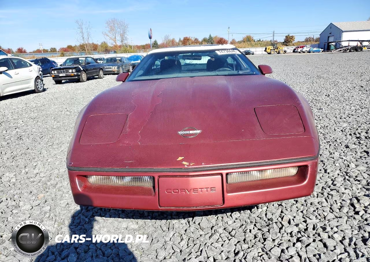 1989 Chevrolet Corvette VIN:1G1YY2181K5124644 - 5