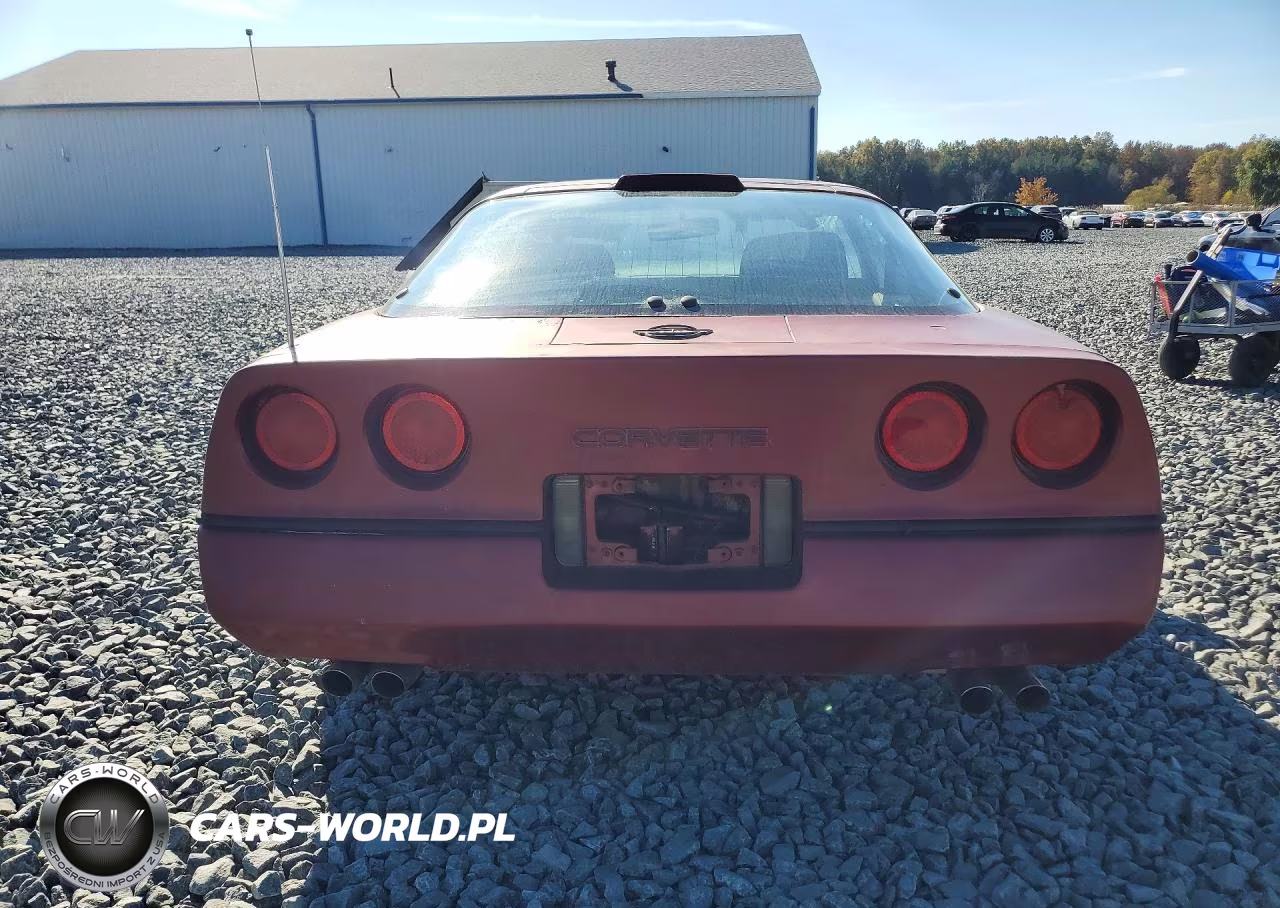 1989 Chevrolet Corvette VIN:1G1YY2181K5124644 - 6