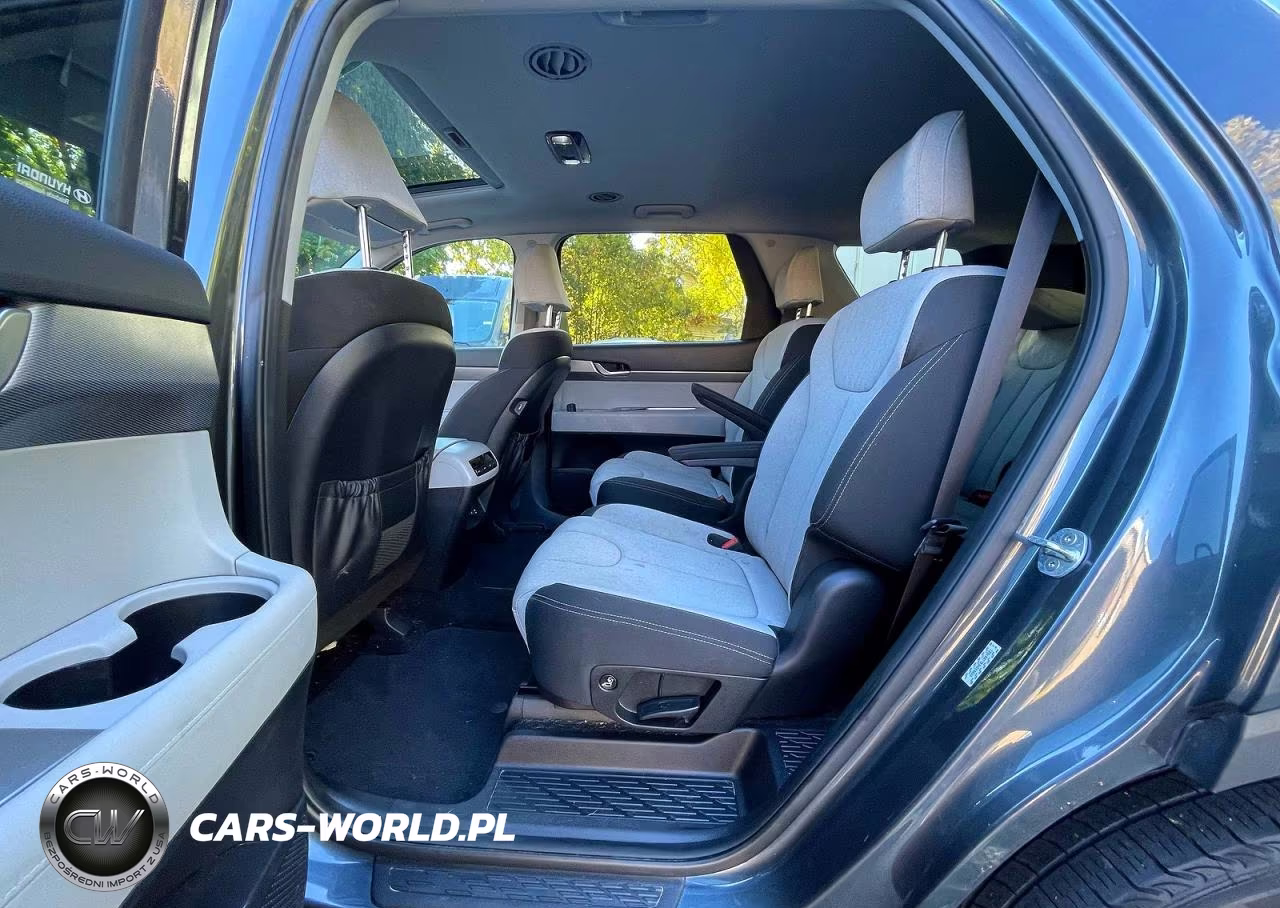 2020 Hyundai Palisade Sel VIN:KM8R2DHE6LU057661 - 12