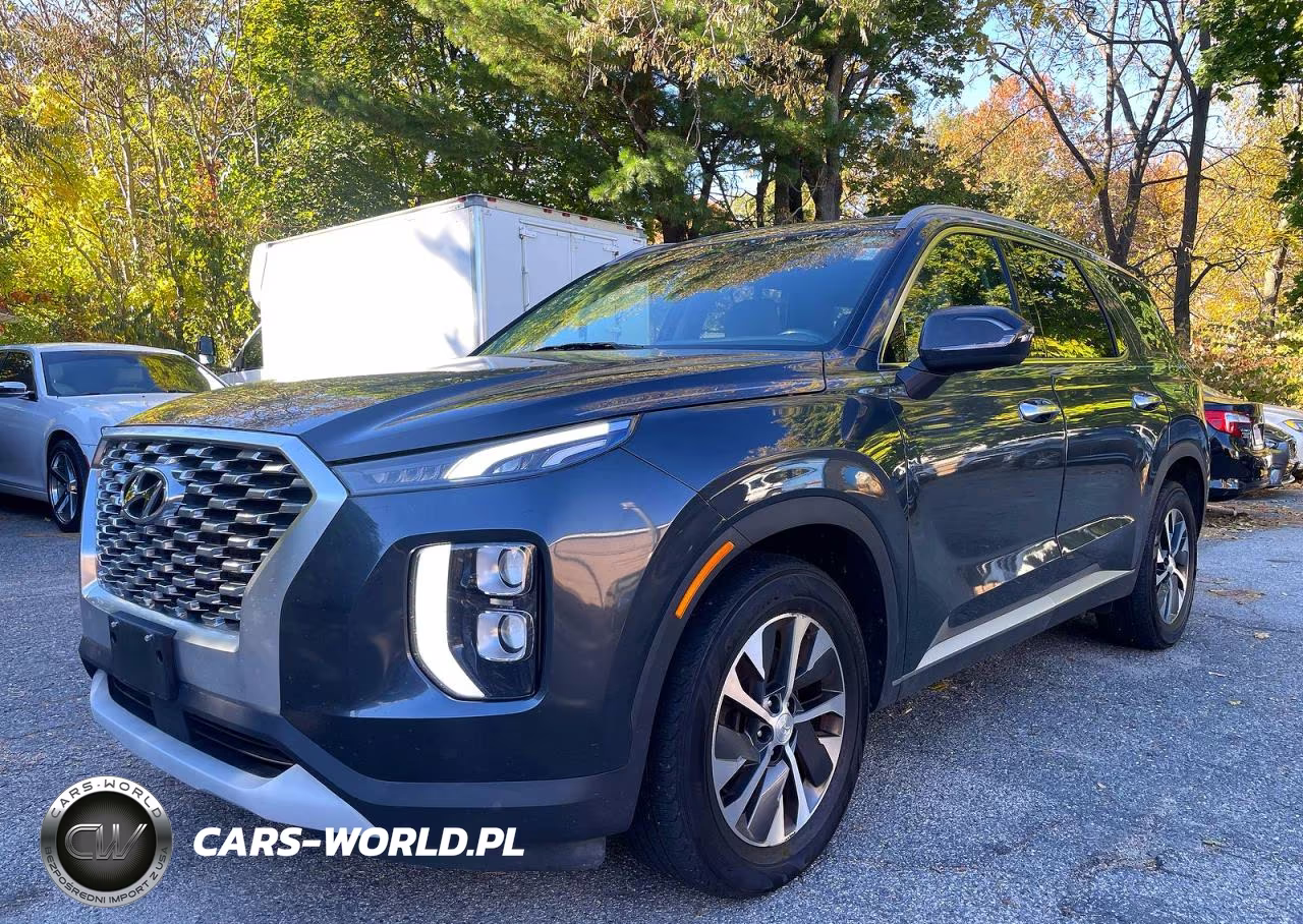 2020 Hyundai Palisade Sel VIN:KM8R2DHE6LU057661 - 2