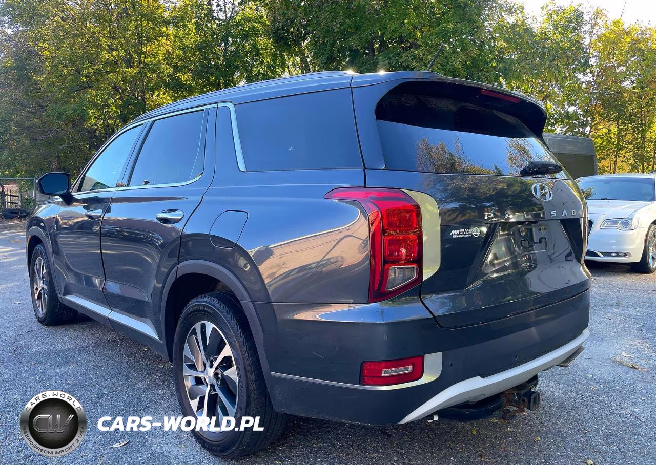 2020 Hyundai Palisade Sel VIN:KM8R2DHE6LU057661 - 3