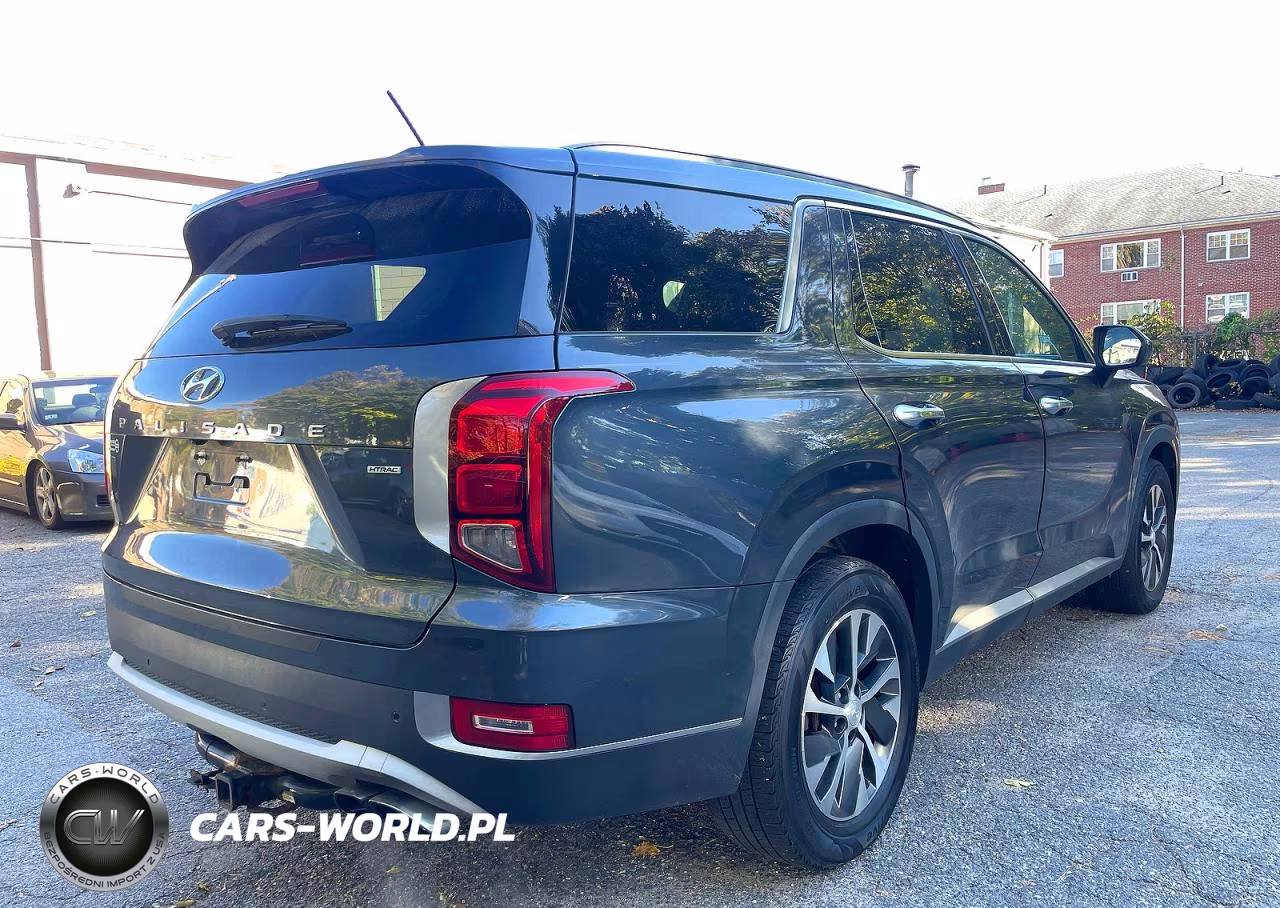 2020 Hyundai Palisade Sel VIN:KM8R2DHE6LU057661 - 4