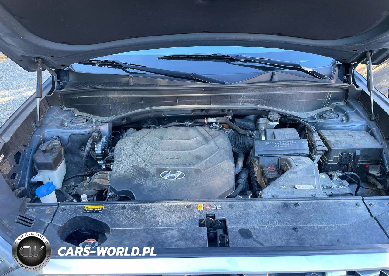 2020 Hyundai Palisade Sel VIN:KM8R2DHE6LU057661 - 7