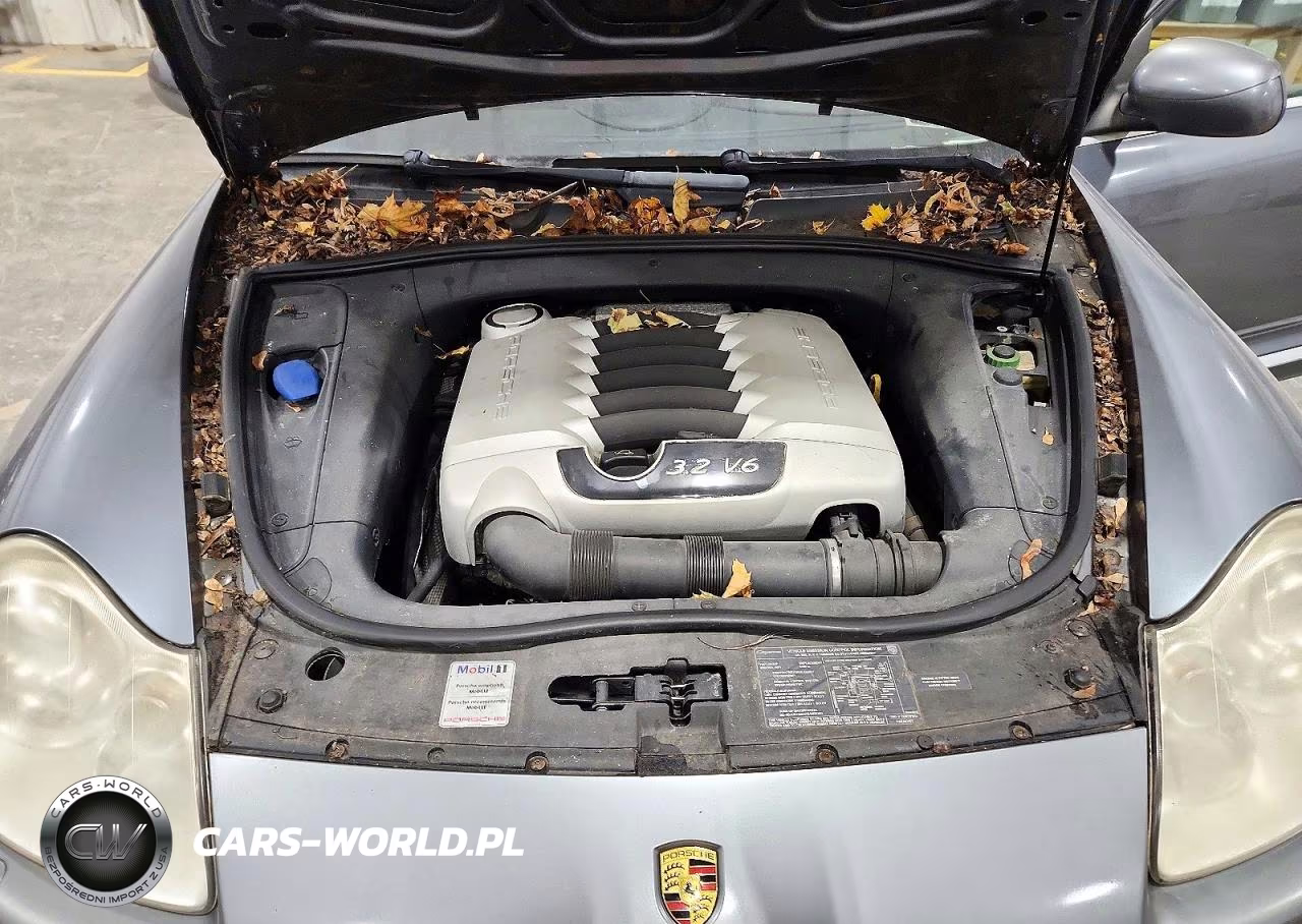 2006 Porsche Cayenne VIN:WP1AA29P36LA21363 - 12