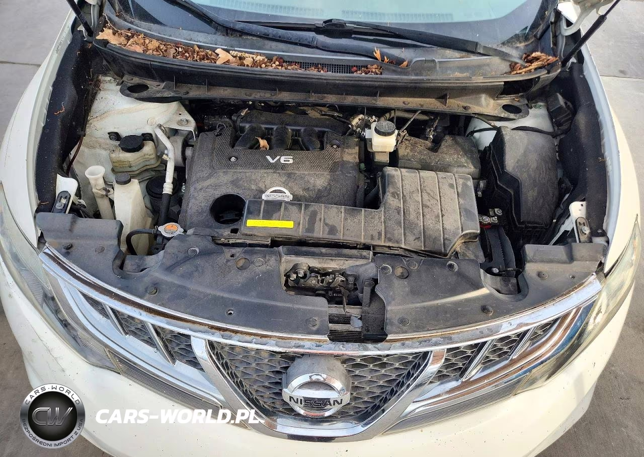 2014 Nissan Murano Le VIN:JN8AZ1MU5EW402716 - 12