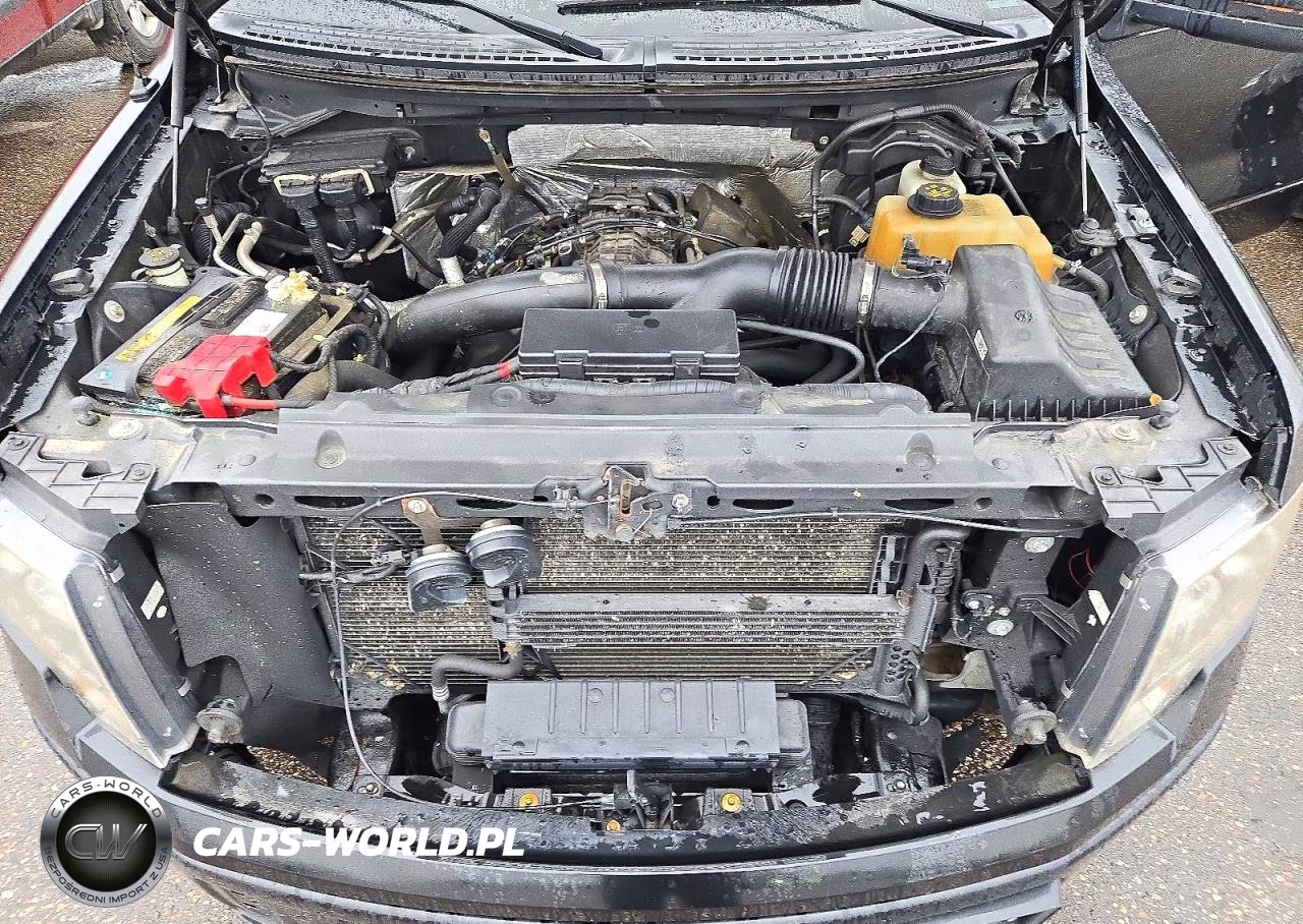 2012 Ford F150 Supercrew VIN:1FTFW1ET5CFC11939 - 11