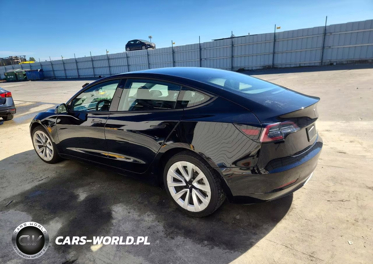 2022 Tesla Model 3 VIN:5YJ3E1EA1NF291302 - 2