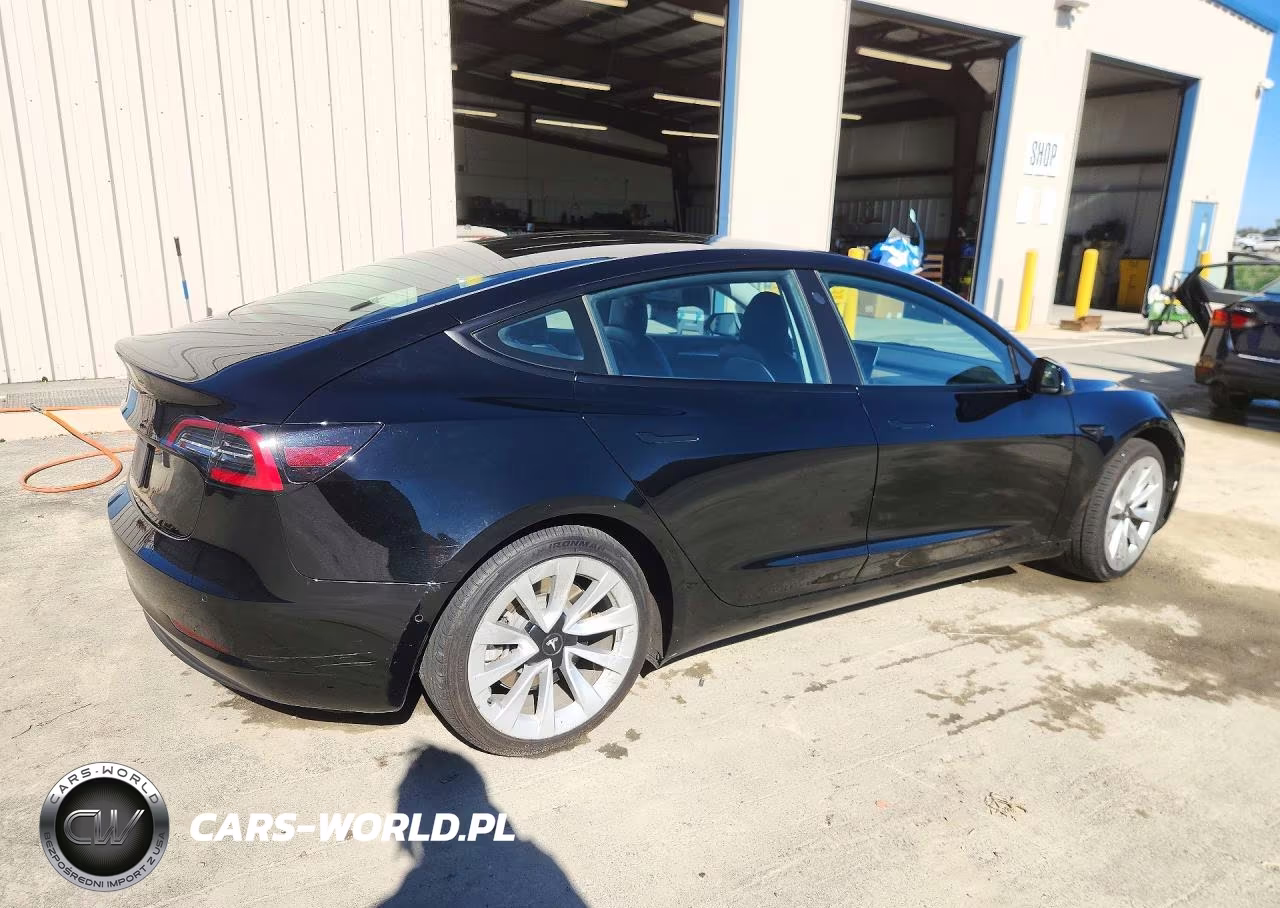 2022 Tesla Model 3 VIN:5YJ3E1EA1NF291302 - 3